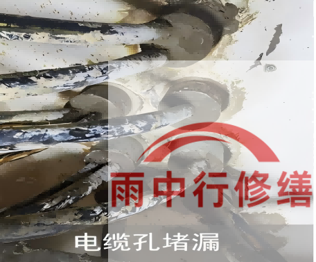 保定电缆线空洞堵漏加固案例