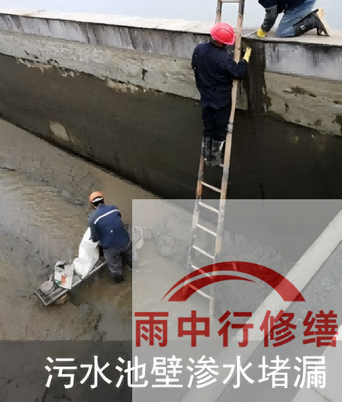 保定2026年防水龙头半月两次涨价，行业格局重塑信号